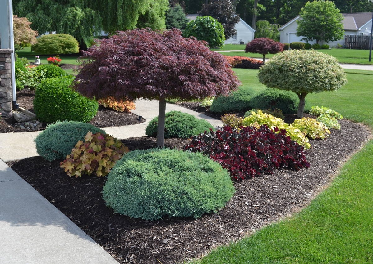 Landscape Design in Baton Rouge project 7