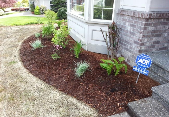 Mulch Installation project 3