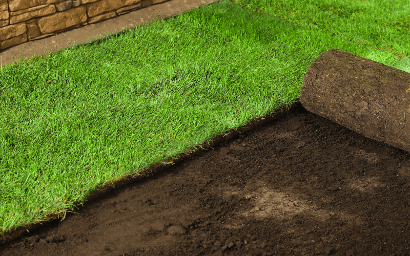 Sod Installation in Baton Rouge project 1