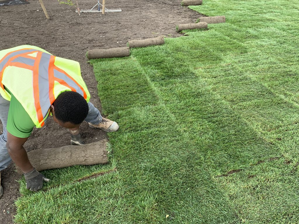 Sod Installation in Baton Rouge project 2