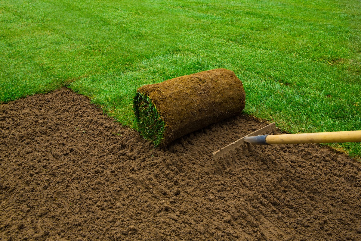 Sod Installation in Baton Rouge project 3