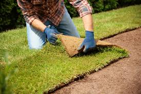 Sod Installation in Baton Rouge project 4