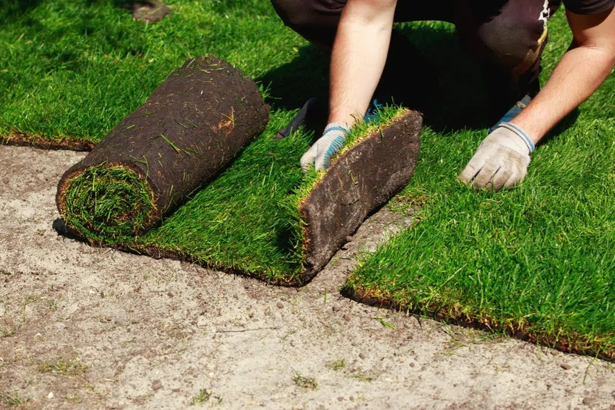Sod Installation in Baton Rouge project 5