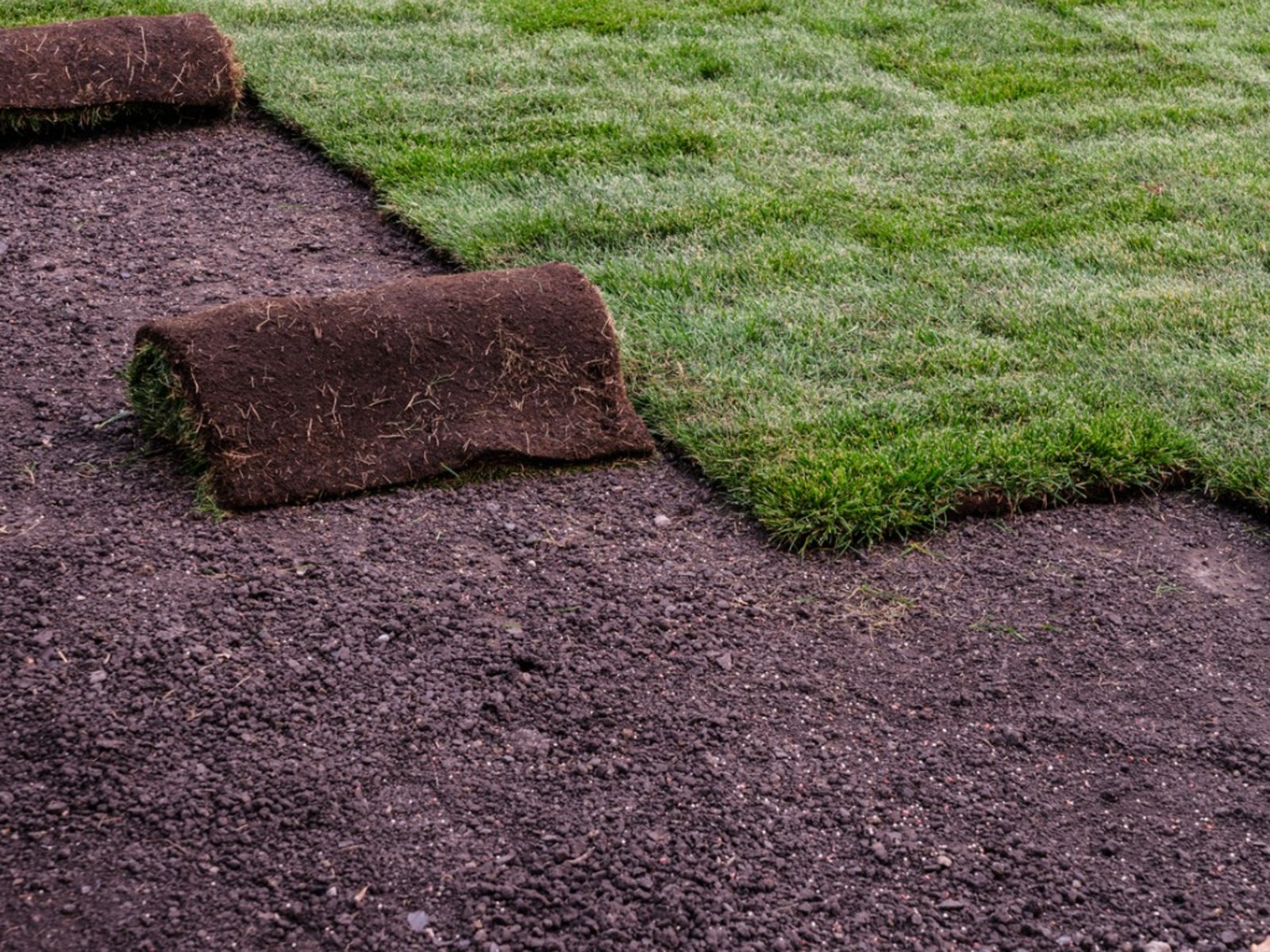 Sod Installation in Baton Rouge project 6